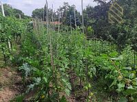 Prodej, pozemek 4490 m2,  Velké Žernoseky - WhatsApp Image 2026-03-25 at 11.55.49 (2).jpeg