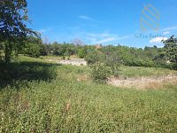 Prodej, pozemek 4490 m2,  Velké Žernoseky - WhatsApp Image 2026-03-25 at 11.56.08 (2).jpeg