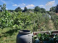 Prodej, pozemek 4490 m2,  Velké Žernoseky - WhatsApp Image 2026-03-25 at 11.56.09 (4).jpeg