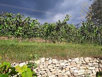 Prodej, pozemek 4490 m2,  Velké Žernoseky - WhatsApp Image 2026-03-25 at 11.56.10 (4).jpeg