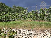 Prodej, pozemek 4490 m2,  Velké Žernoseky - WhatsApp Image 2026-03-25 at 11.56.11 (2).jpeg