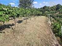 Prodej, pozemek 4490 m2,  Velké Žernoseky - WhatsApp Image 2026-03-25 at 11.56.11 (5).jpeg