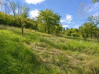 Prodej, rodinný dům 335 m2, pozemek 892 m2, obec Raná u Loun - o_1777984253-6376.jpg