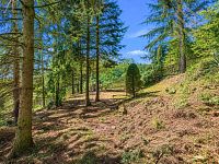 Prodej, chaty se zahradou, 2909 m2, Obec Malé Žernoseky okres Litoměřice - ChatGPT Image 6. 7. 2026 22_52_53.jpg