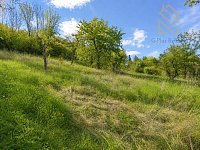 Prodej, rodinný dům 335 m2, pozemek 892 m2, obec Raná u Loun - o_1782212172-2909.jpg