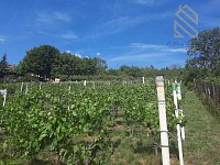 Prodej, rodinný dům 235 m2, pozemek 5026 m2, Velké Žernoseky - 1779704975-4941.jpg