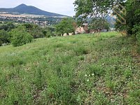 Prodej, rodinný dům 235 m2, pozemek 5026 m2, Velké Žernoseky - 1779705006-513.jpg