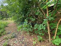 Soubor investičních pozemků o celkové výměře 31.577 m2 Dubí u Teplic - foto14.jpg
