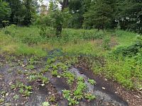 Soubor investičních pozemků o celkové výměře 31.577 m2 Dubí u Teplic - foto16.jpg