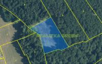 Lesní pozemek k.ú. Vsetín, CP 8547 m2, po těžbě - Záznam celé obrazovky 25.10.2023 195826.jpg
